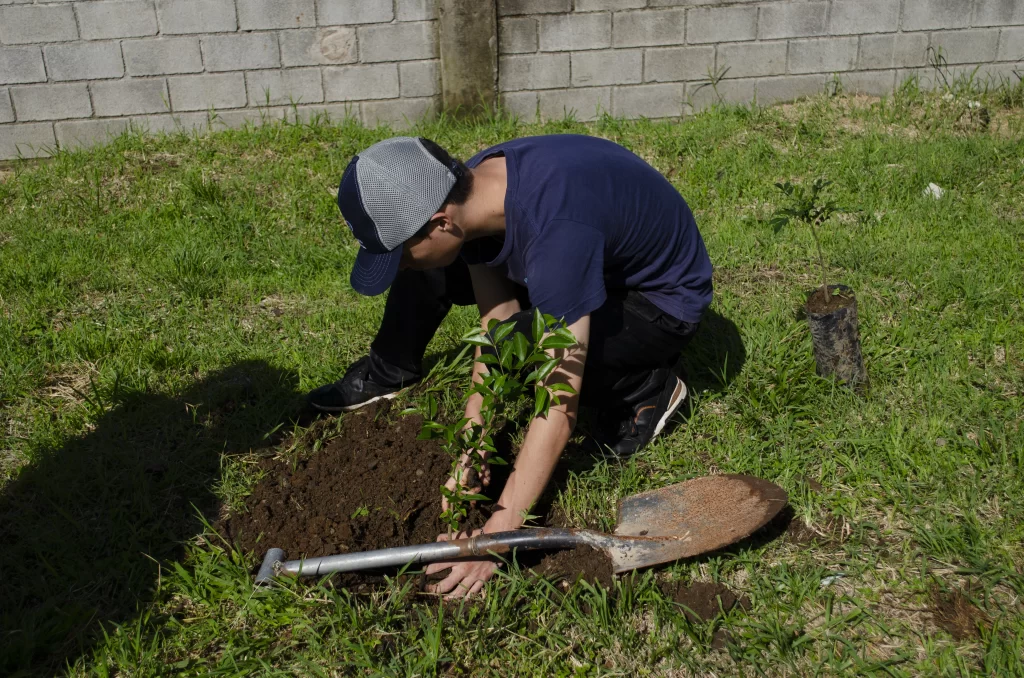 Joven sembrando un árbol