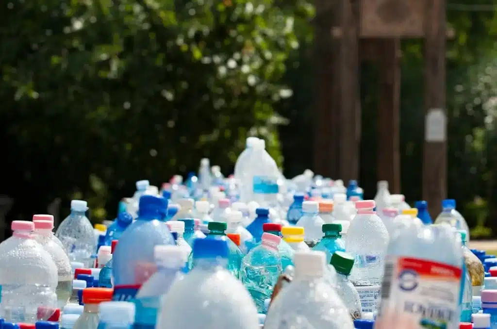 jornada de reciclaje - Fundación eco tierra