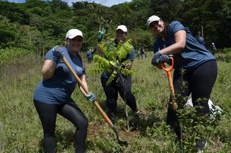Tres mujeres plantando un árbol